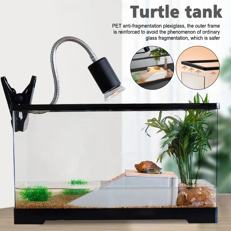 Aquariums transparents et aquariums en plastique l'horloge, poignées anti-chute, tortue amovible, boîte d'élevage, aquarium précieux, aquariums de poissons rouges