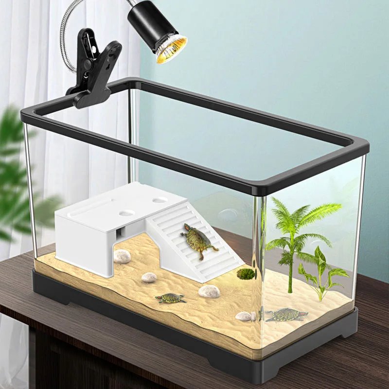 Aquariums transparents et aquariums en plastique l'horloge, poignées anti-chute, tortue amovible, boîte d'élevage, aquarium précieux, aquariums de poissons rouges