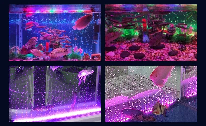Lampe à bulles d'air LED pour aquarium, lampe sous-marine SubSN, lumière de poisson précieuse, document proxy, oxygène exécutif pour poisson précieux