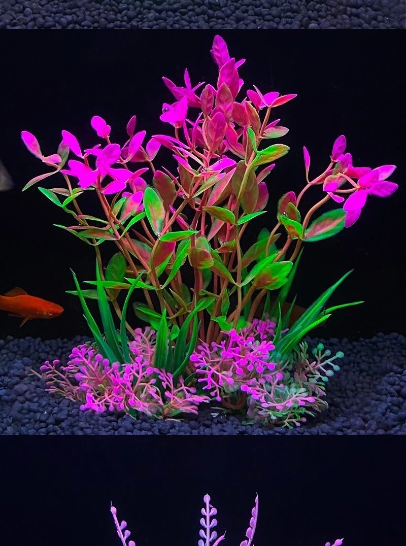Ornement de plante précieuse d'aquarium, décor Él, plantes de simulation d'eau, bol de poisson en plastique, décoration de mauvaises herbes, 5.5 po