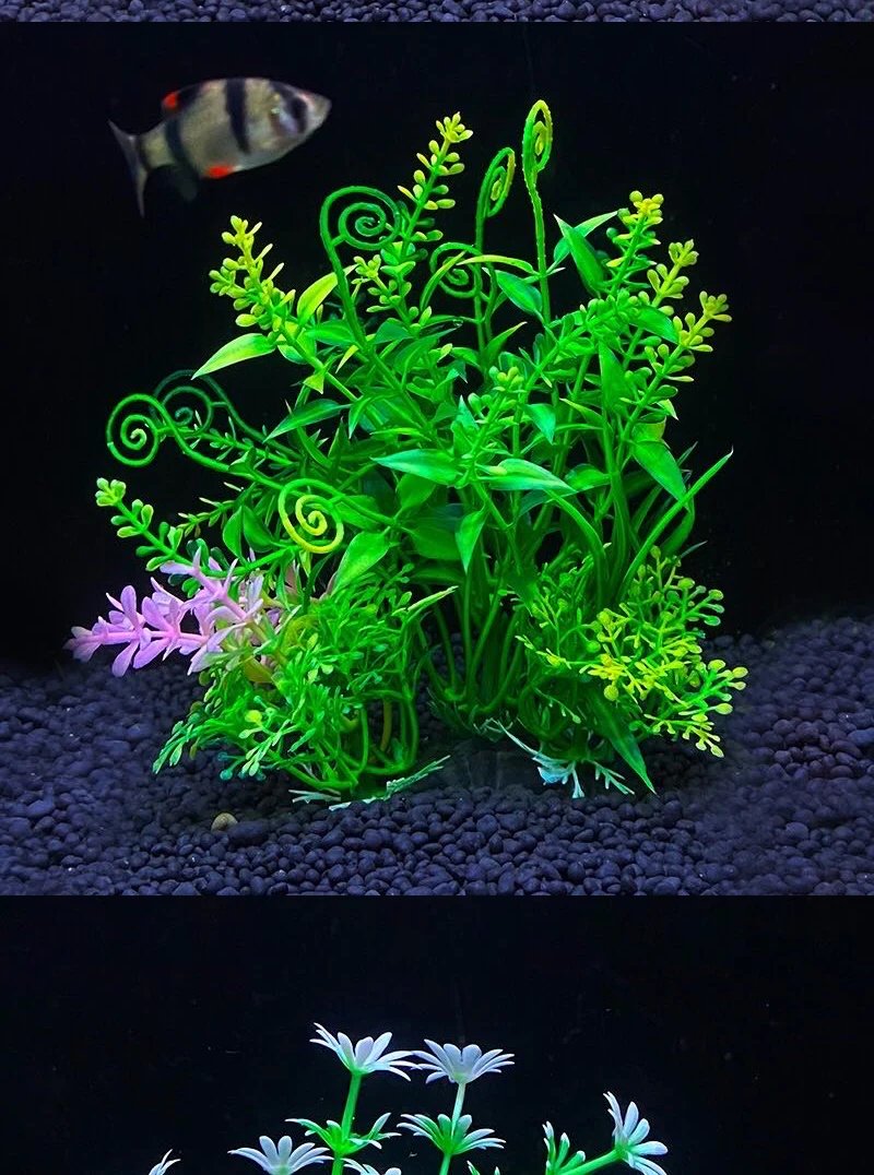 Ornement de plante précieuse d'aquarium, décor Él, plantes de simulation d'eau, bol de poisson en plastique, décoration de mauvaises herbes, 5.5 po