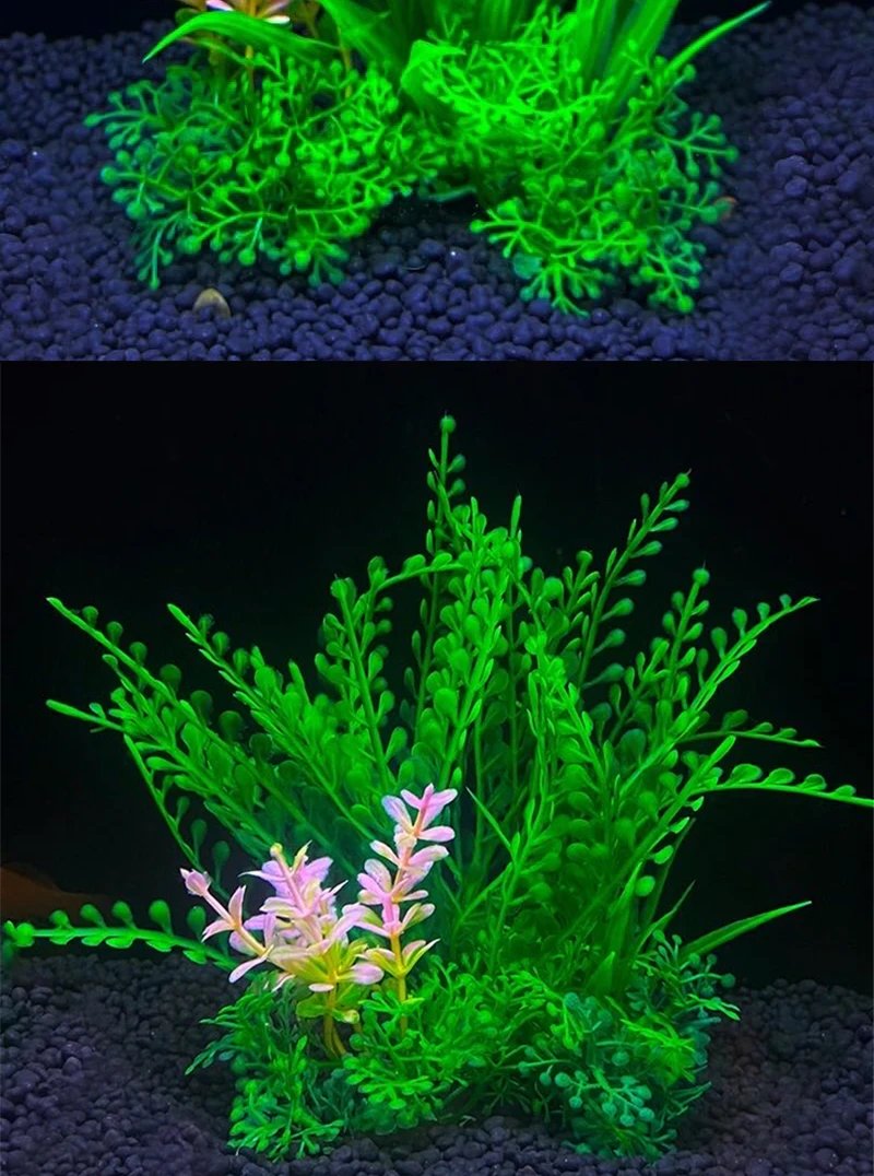 Ornement de plante précieuse d'aquarium, décor Él, plantes de simulation d'eau, bol de poisson en plastique, décoration de mauvaises herbes, 5.5 po