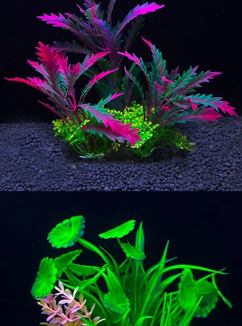 Ornement de plante précieuse d'aquarium, décor Él, plantes de simulation d'eau, bol de poisson en plastique, décoration de mauvaises herbes, 5.5 po