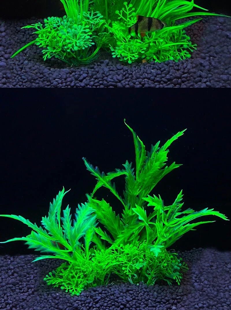 Ornement de plante précieuse d'aquarium, décor Él, plantes de simulation d'eau, bol de poisson en plastique, décoration de mauvaises herbes, 5.5 po