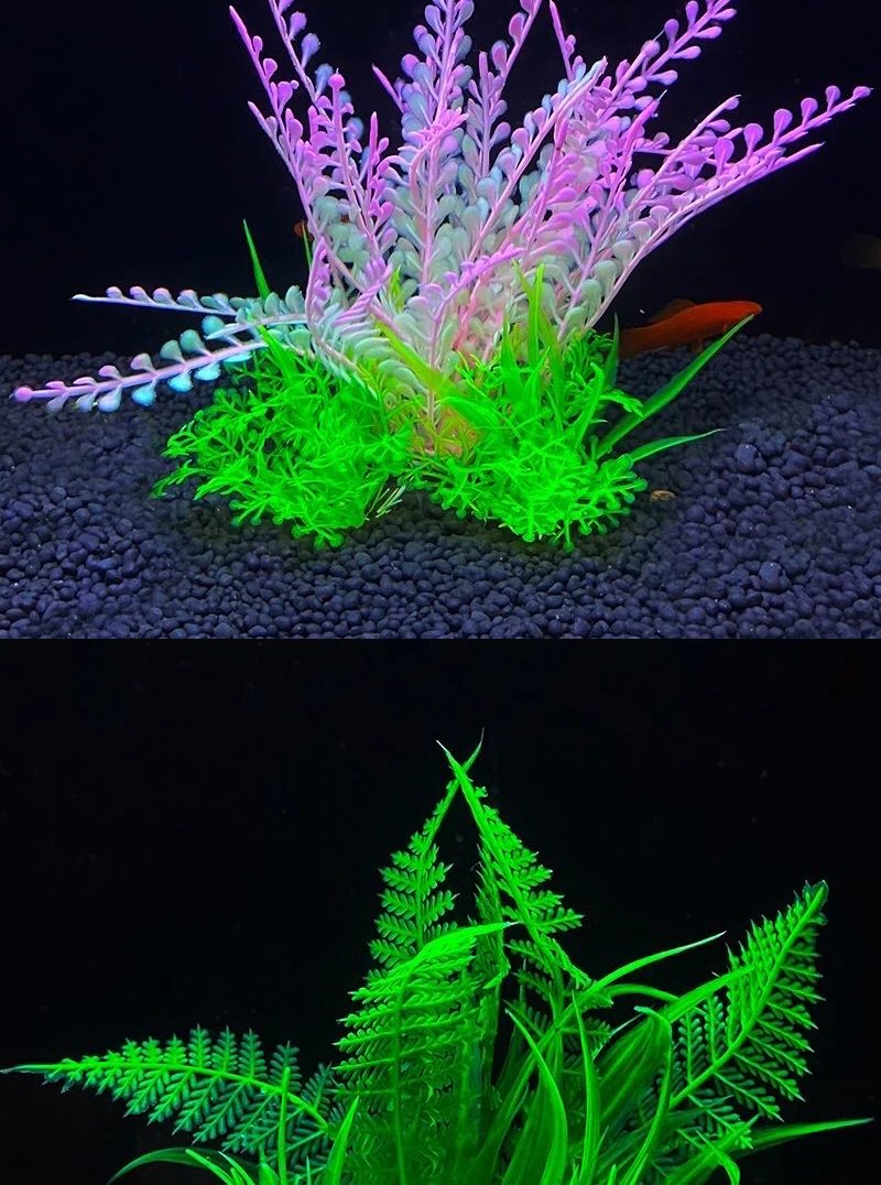 Ornement de plante précieuse d'aquarium, décor Él, plantes de simulation d'eau, bol de poisson en plastique, décoration de mauvaises herbes, 5.5 po