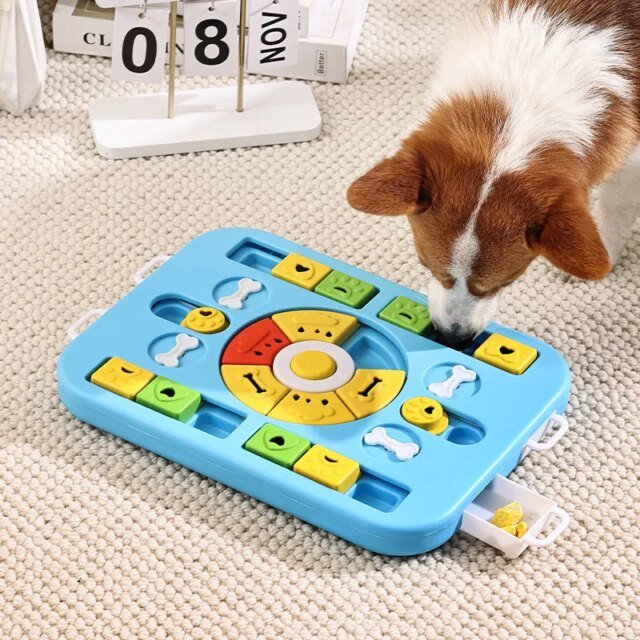 Jouet puzzle pour animaux de compagnie avec bol audible | mangeoire pour chien et chat | fournitures pour animaux de compagnie