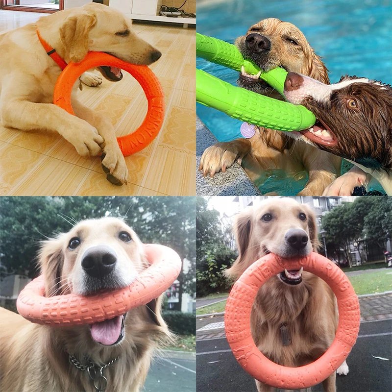 Anneau d'entraînement pour chien, extracteur de disque volant, jouet ChFukToys, jouet coule extérieur, fournitures de jeu pour chiot, Zabawki Dla Psa