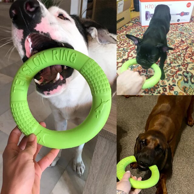 Anneau d'entraînement pour chien｜jouet coule extérieur – Image 4
