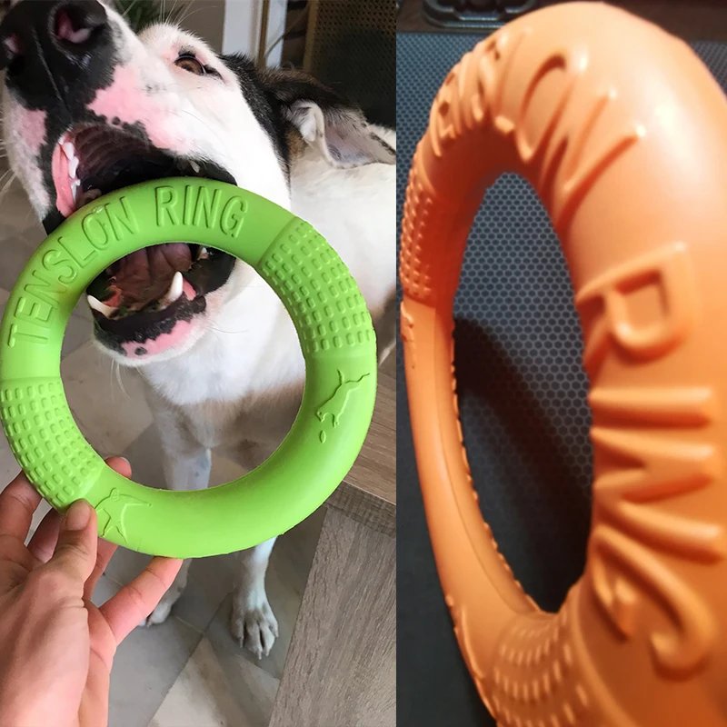 Anneau d'entraînement pour chien, extracteur de disque volant, jouet ChFukToys, jouet coule extérieur, fournitures de jeu pour chiot, Zabawki Dla Psa