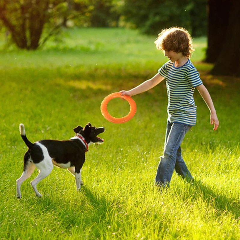 Anneau d'entraînement pour chien, extracteur de disque volant, jouet ChFukToys, jouet coule extérieur, fournitures de jeu pour chiot, Zabawki Dla Psa
