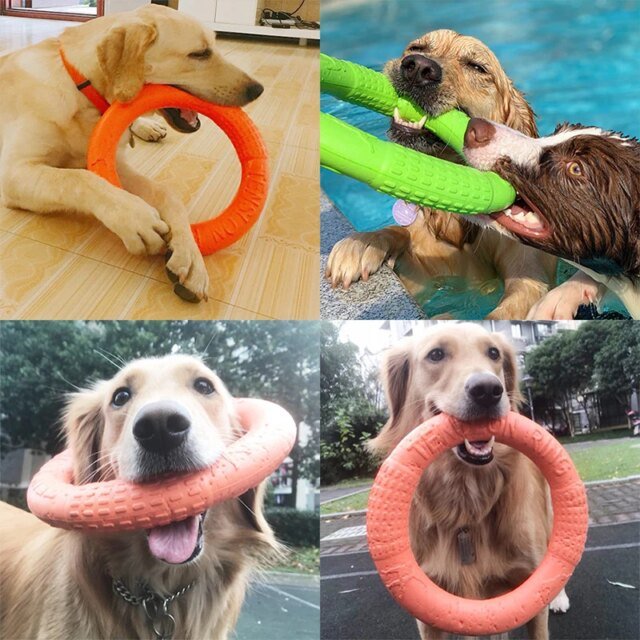 Anneau d'entraînement pour chien｜jouet coule extérieur – Image 2