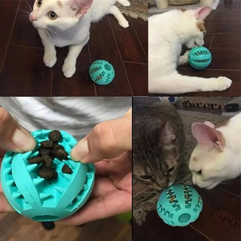 Balle en caoutchouc qui fuit pour chien et chat, jouet coule pour animaux de compagnie, chiot, jouets d'alimentation