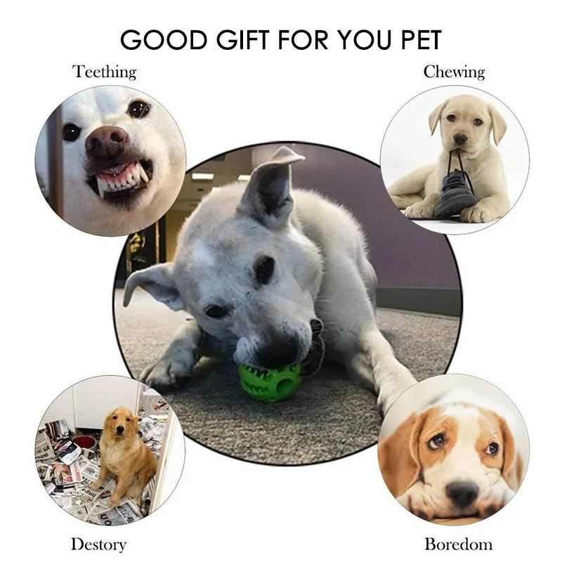 Balle en caoutchouc qui fuit pour chien et chat, jouet coule pour animaux de compagnie, chiot, jouets d'alimentation