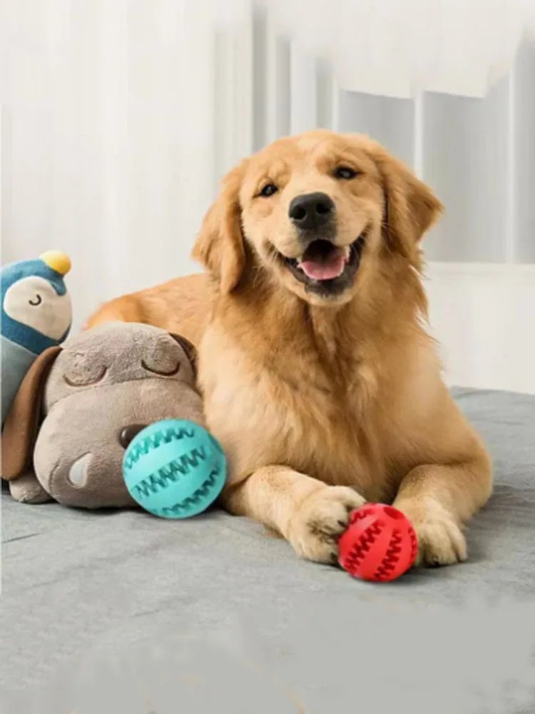 Ikfor-Jouets Interactifs pour Chiens de Compagnie, Corde Soucieuse en Caoutchouc, Fuite, Petits et Moyens Chiens, ChFukBite Degré, Livres de Dents pour Animaux de Compagnie