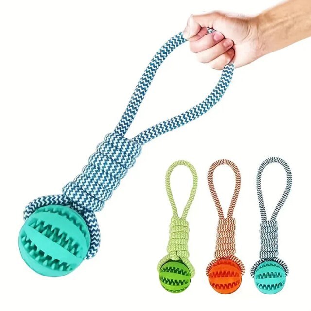 Jouets Interactifs pour Chiens de Compagnie