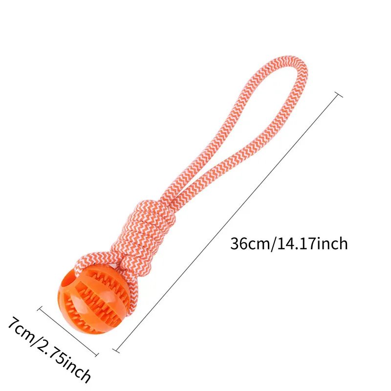 Ikfor-Jouets Interactifs pour Chiens de Compagnie, Corde Soucieuse en Caoutchouc, Fuite, Petits et Moyens Chiens, ChFukBite Degré, Livres de Dents pour Animaux de Compagnie