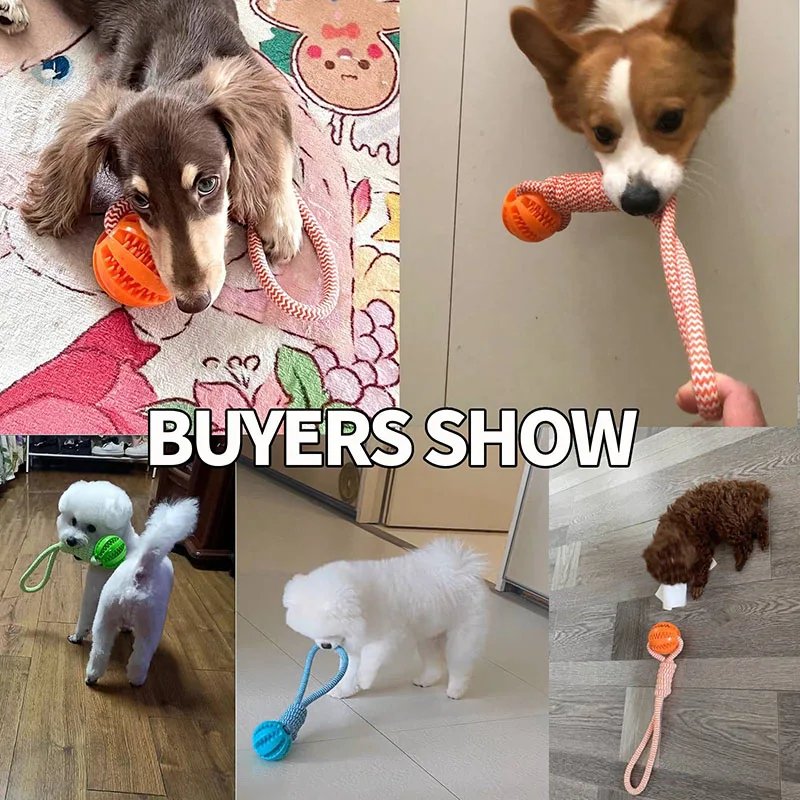 Ikfor-Jouets Interactifs pour Chiens de Compagnie, Corde Soucieuse en Caoutchouc, Fuite, Petits et Moyens Chiens, ChFukBite Degré, Livres de Dents pour Animaux de Compagnie