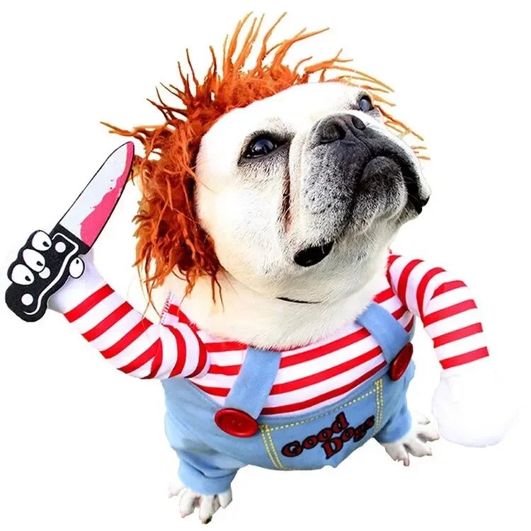 Robe de Transformation pour Animal de Compagnie, Dague d'Halloween, Festival, Couteau Amusant, Tenant des Vêtements pour Chien, Chat Debout, 1 Pièce