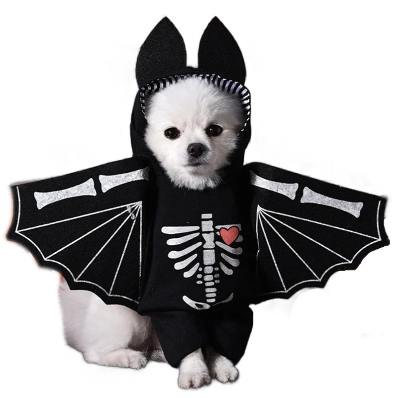Robe de Transformation pour Animal de Compagnie, Dague d'Halloween, Festival, Couteau Amusant, Tenant des Vêtements pour Chien, Chat Debout, 1 Pièce