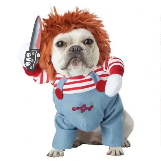 Robe de Transformation pour Animal de Compagnie | Dague d'Halloween | Halloween vêtements pour Chiens – Image 2