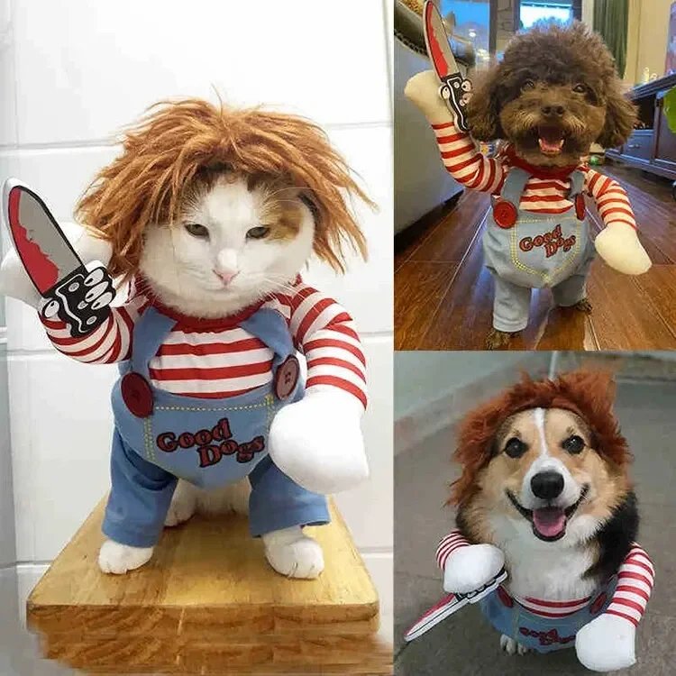 Robe de Transformation pour Animal de Compagnie, Dague d'Halloween, Festival, Couteau Amusant, Tenant des Vêtements pour Chien, Chat Debout, 1 Pièce