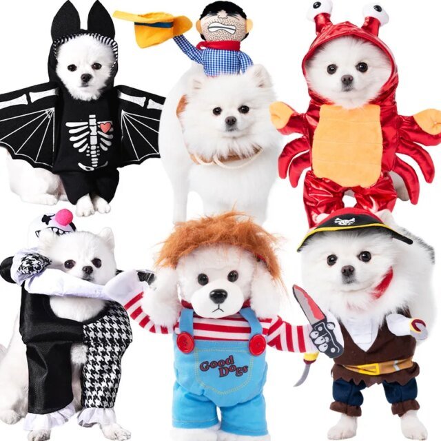 Robe de Transformation pour Animal de Compagnie | Dague d'Halloween | Halloween vêtements pour Chiens
