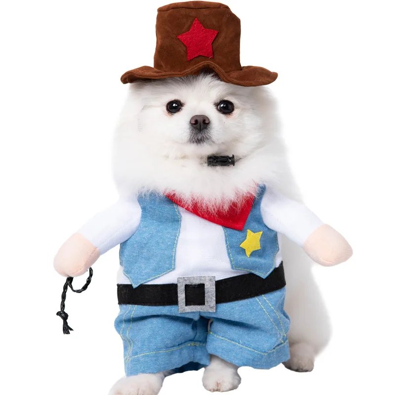 Robe de Transformation pour Animal de Compagnie, Dague d'Halloween, Festival, Couteau Amusant, Tenant des Vêtements pour Chien, Chat Debout, 1 Pièce