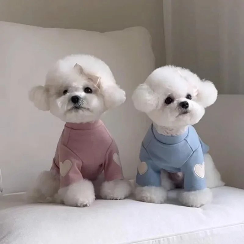 Sweat à capuche chaud pour animaux de compagnie, chemise de base, mignon, ours en peluche, Yorkshire, chat, vêtements pour chiens, vêtements pour chiots, créateur, hiver, amour
