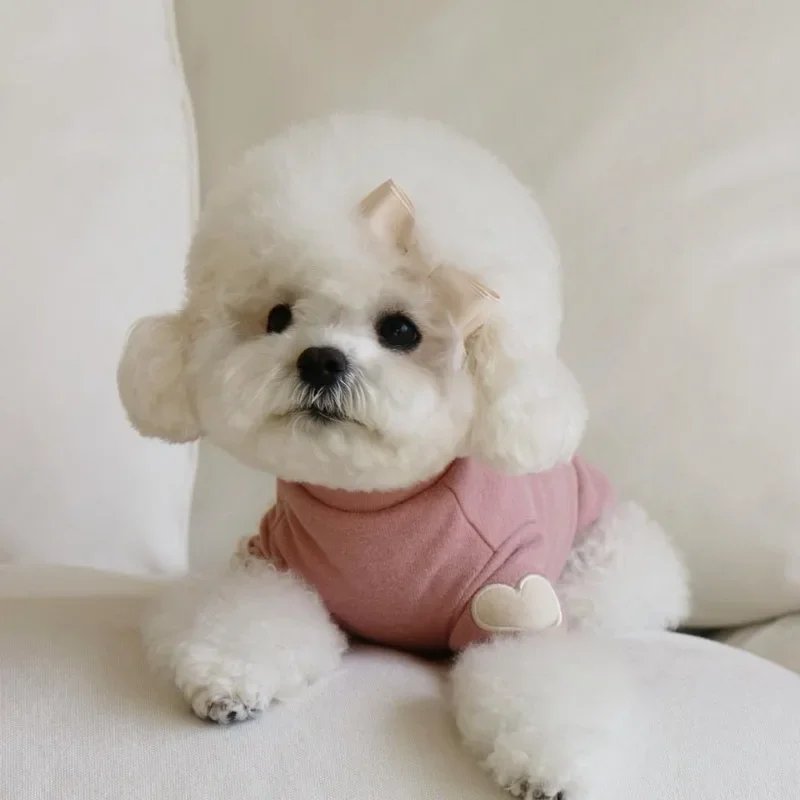 Sweat à capuche chaud pour animaux de compagnie, chemise de base, mignon, ours en peluche, Yorkshire, chat, vêtements pour chiens, vêtements pour chiots, créateur, hiver, amour