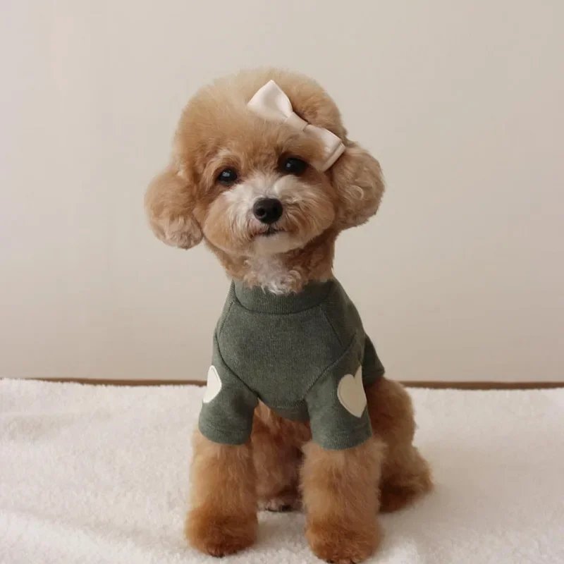 Sweat à capuche chaud pour animaux de compagnie, chemise de base, mignon, ours en peluche, Yorkshire, chat, vêtements pour chiens, vêtements pour chiots, créateur, hiver, amour
