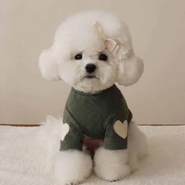 Sweat chaud pour animaux de compagnie | chemise pour chiens et chats – Image 2