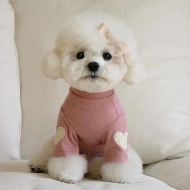 Sweat chaud pour animaux de compagnie | chemise pour chiens et chats – Image 5