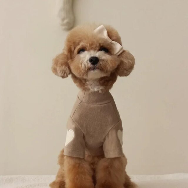 Sweat chaud pour animaux de compagnie | chemise pour chiens et chats – Image 3