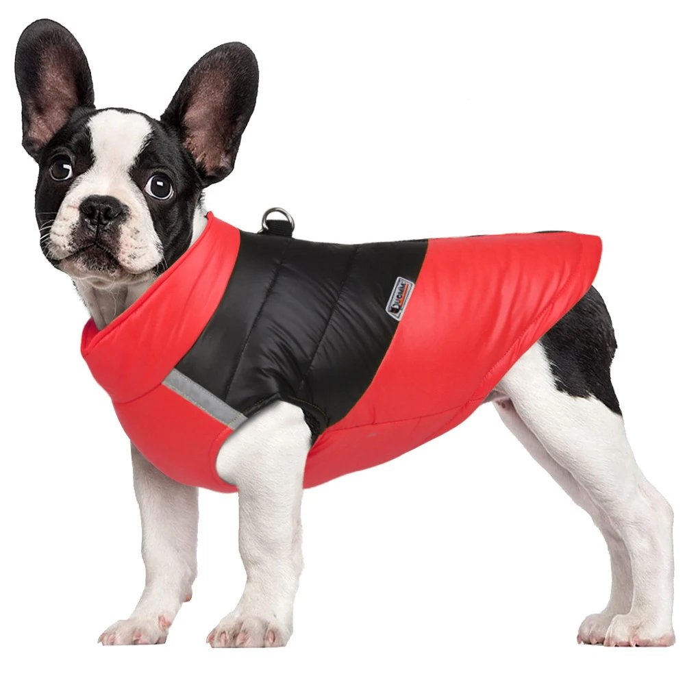Veste imperméable pour chien, vêtements chauds pour petits et grands chiens, manteau pour chiot, émail Chihuahua, bouledogue français SARL, perforé, PDPCostume, hiver