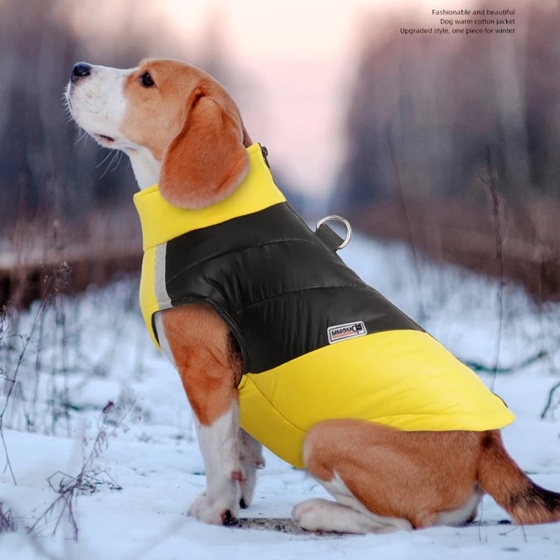 Veste imperméable pour chien, vêtements chauds pour petits et grands chiens, manteau pour chiot, émail Chihuahua, bouledogue français SARL, perforé, PDPCostume, hiver