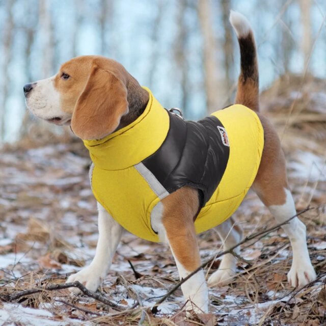 Veste imperméable pour chien | vêtements chauds pour petits et grands chiens | manteau pour chiot, hiver – Image 2