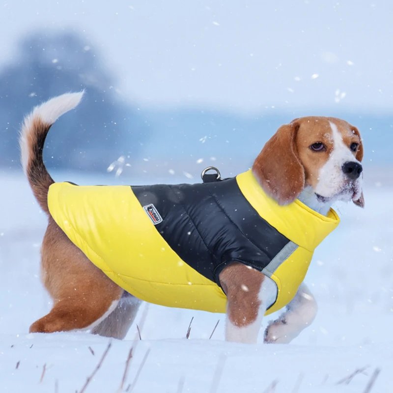 Veste imperméable pour chien, vêtements chauds pour petits et grands chiens, manteau pour chiot, émail Chihuahua, bouledogue français SARL, perforé, PDPCostume, hiver