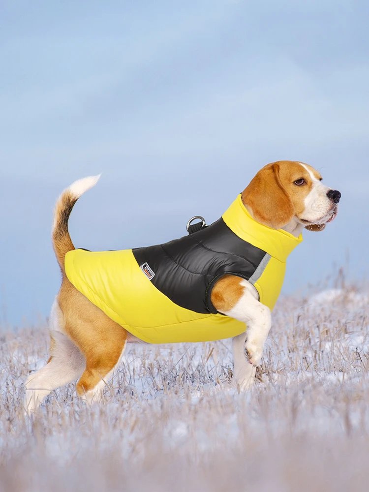 Veste imperméable pour chien, vêtements chauds pour petits et grands chiens, manteau pour chiot, émail Chihuahua, bouledogue français SARL, perforé, PDPCostume, hiver