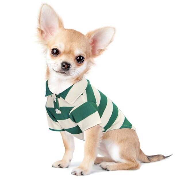 Chemise d'été pour chien de compagnie | vêtements décontractés pour petits et grands chiens  | T-shirt pour chats – Image 5