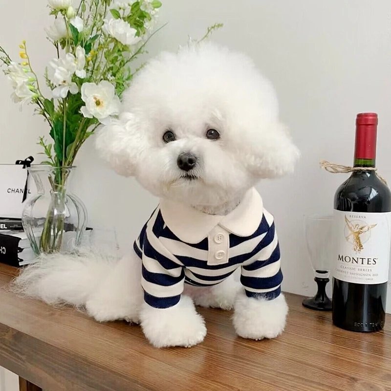 Polo d'été pour chiens Vêtements pour chiots Bichon Frise Chihuahua Stripe Dog Sweatshirt Dog Cooling Vest for Small and Medium Dogs