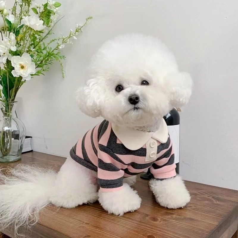 Polo d'été pour chiens Vêtements pour chiots Bichon Frise Chihuahua Stripe Dog Sweatshirt Dog Cooling Vest for Small and Medium Dogs