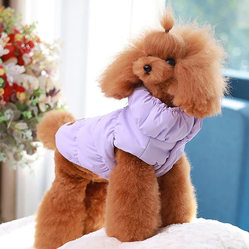 Vêtements rembourrés pour chiots et chats avec anneaux en D, veste chaude pour petits chiens, manteau pour chihuahua, manteau pour bouledogue français, tenues perforées SARL, hiver