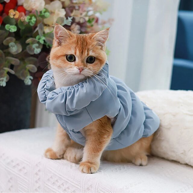 Vêtements rembourrés pour chiots et chats | veste chaude pour petits chiens | manteau – Image 2