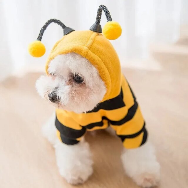 Sweat à capuche pour animaux de compagnie | vêtements pour chiens et chats