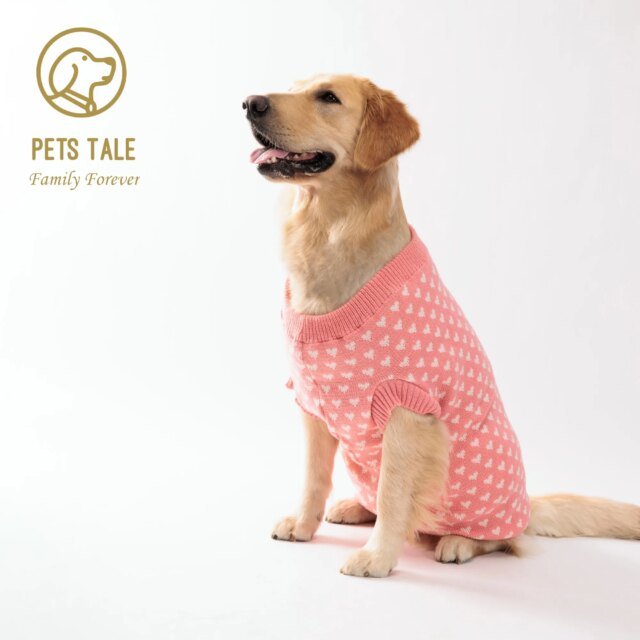 Pull d'hiver chaud pour chiens et chats |  vêtements mignons et confortables pour chiens et chats – Image 4