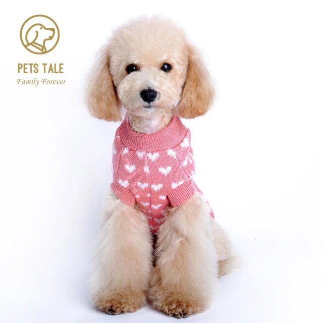 Pull d'hiver chaud pour chiens et chats |  vêtements mignons et confortables pour chiens et chats – Image 2