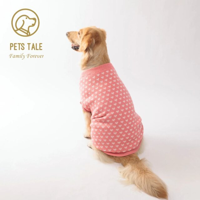 Pull d'hiver chaud pour chiens et chats |  vêtements mignons et confortables pour chiens et chats – Image 3