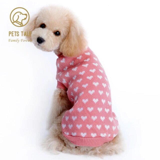 Pull d'hiver chaud pour chiens et chats |  vêtements mignons et confortables pour chiens et chats – Image 6