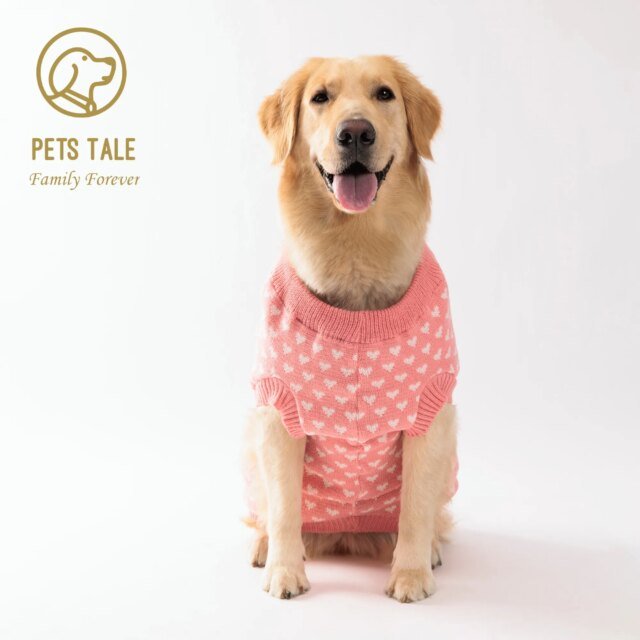 Pull d'hiver chaud pour chiens et chats |  vêtements mignons et confortables pour chiens et chats