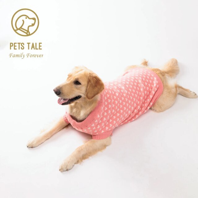 Pull d'hiver chaud pour chiens et chats |  vêtements mignons et confortables pour chiens et chats – Image 5